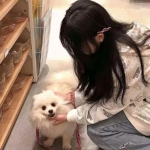 考拉消消赚红包版安装